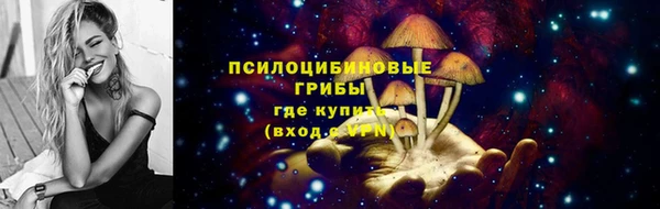 Альфа ПВП Белокуриха