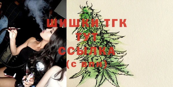 Альфа ПВП Белокуриха