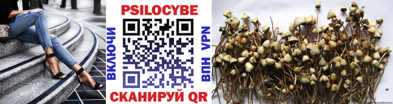 Купить  Мензелинск  Галлюциногенные грибы Cubensis 