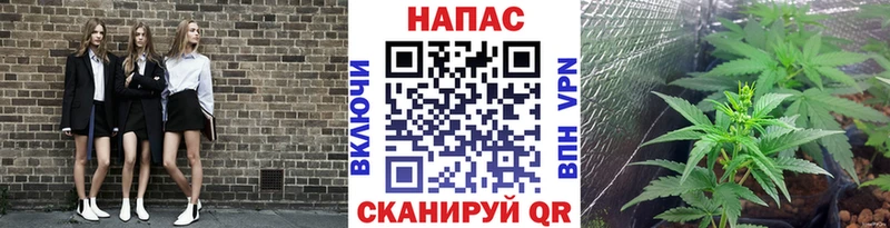 Шишки марихуана конопля  Купить  Мензелинск 